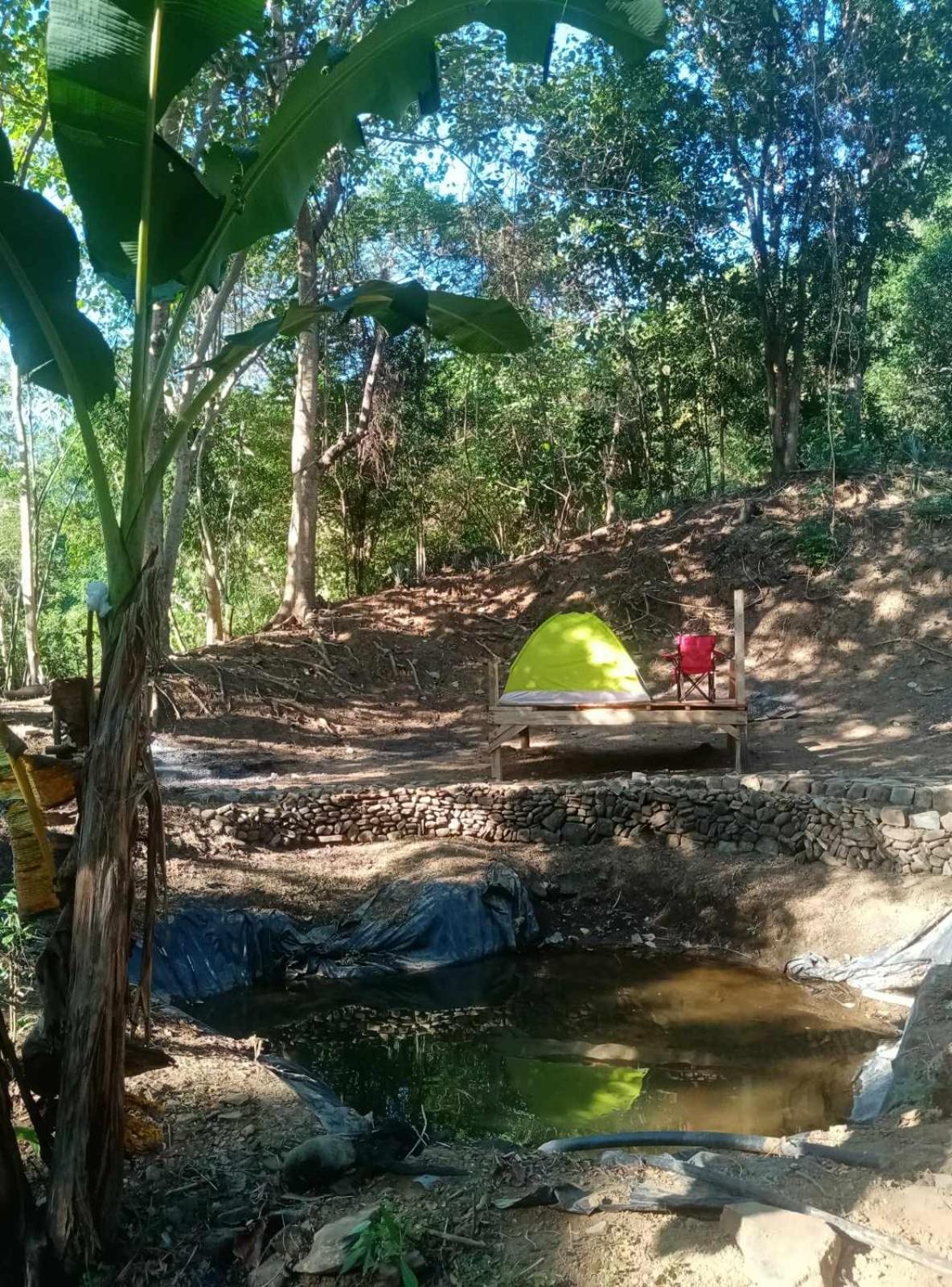 Camping Ground @ Eastdee Lidlidda Exterior foto